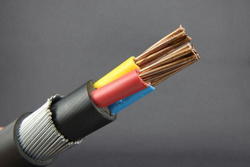 2.5MM 3 CORE ARMOURED CABLE DUCAB-Epsillon Cable-(1000442)