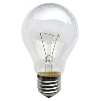 LAMP E-27 100W CLEAR (BULB)-(1001389)