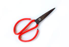 Garden Scissors,Sharp edges ,Easy to use