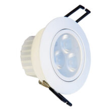 LED SPOT LIGHT W/WHITE 10W MODI K0008G-(1001591)