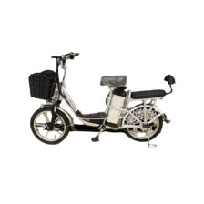 ELECTRIC CYCLE WITH STEEL BODY