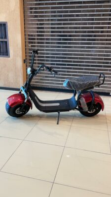 HARLY ELECTRIC BIKE WITH 1500W MOTOR