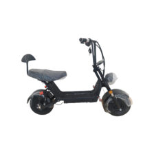 MIDDLE HARLY- ELECTRIC BIKE WITH BLUETOOTH