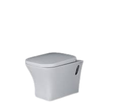 Sonet Water Closet/WC, 50005, Commander, Wall Hung Toilet, White