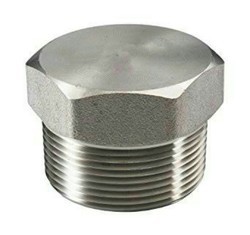 Trychem Metal And Alloys Stainless Steel Plug