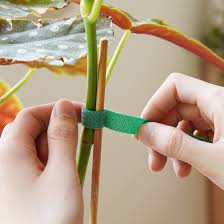 Plant Ties, Garden Tape for Plant, Reusable Adjustable Thicker Support for Growing Strong Grip, Tomato Vines Tree Fixed Rope Indoor Outdoor, 125 x 1.2