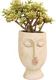 Head Planter Face Flower Pot Succulent Plant Pots Indoor Outdoor with Drainage Hole