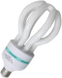 Veto 85W/105W/125W4u Lotus Light Large Watt U-Shaped Energy Saving Light Bulb @125W_B22
