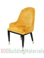 Jilphar Classical Chair with Metal Frame- DPW000345667