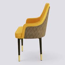 Jilphar Classical Chair with Metal Frame- DPW000345667
