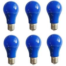 EVB Daylight Frosted Light Bulb- Pack of 6- DPW000130003