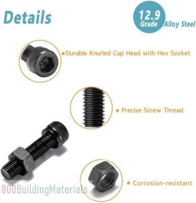 Goodern Nuts and Bolts Assorted Set,304 Stainless Steel Hex Socket Head Cap Screws Bolts and Nuts Kit with Box