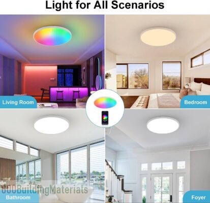 Redare Alexa Smart Ceiling Light,RGB Wifi Ceiling Light
